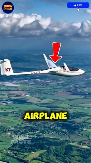 This Airplane Flies With NO ENGINE! #glider #shorts #airplane