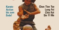 Seven Steps of Kung Fu (1979)  - Ver Película Completa en Español - FULLTV