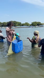 168K views · 1.3K reactions | Simple bottle trap technique to catch mullet fish! #fishing | Snakehead Angler Amar | Facebook