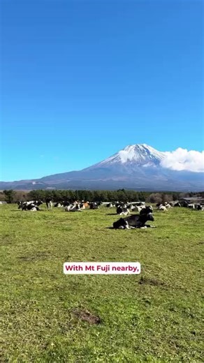 Discover Shiraito Falls: A Tranquil Oasis at Mt. Fuji