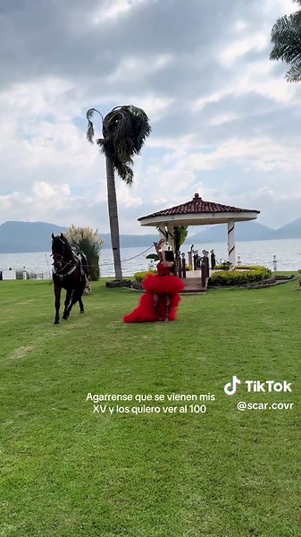 Celebra mis XV con Caballos Bailadores