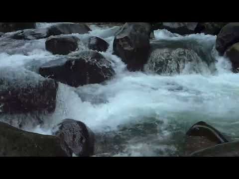 Relaxing Java river currents with soft flow for peaceful clarity, gentle calm, and nature balance