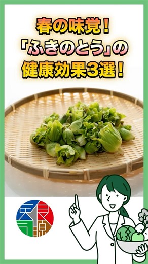 春の味覚！ふきのとうの健康効果3選