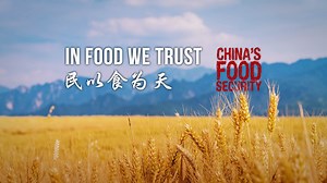 China's food security: In food we trust - The Global Herald