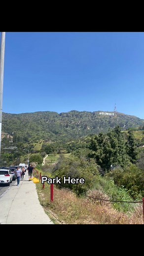 Exploring the Best Hollywood Hiking Trail with Wisdom Tree