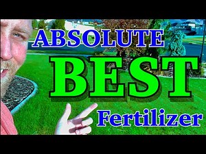 BEST Fertilizer for a BETTER GREENER LAWN!