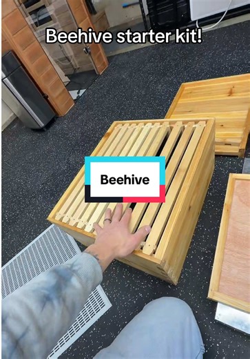 Essential Beehive Starter Kit for Beginner Beekeepers