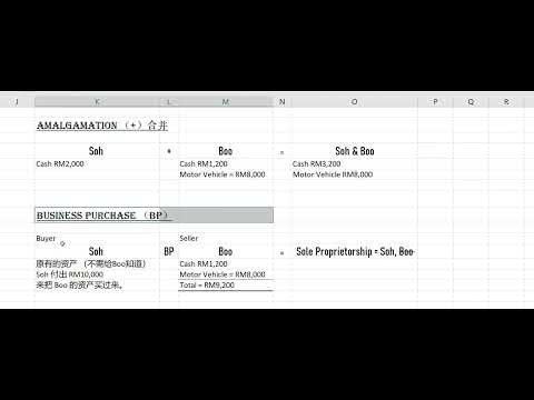 Introduction to Amalgamation and Business Purchase