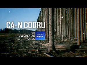 ROMÂNIA, TE IUBESC! - MAREA DEFRIȘARE