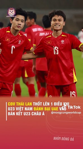 Nhím Bóng Đá trên TikTok