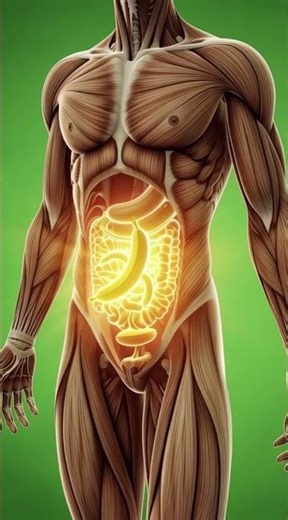 What Happens When You Eat a Banana? | 3D Digestion, Nutrients & Body Effects Explained #shorts