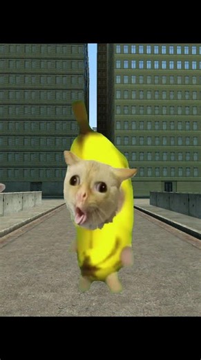 Banana cats having a quick-draw contest?/早撃ち対決をするバナナ猫たち？ #shorts #gmod #bananacat