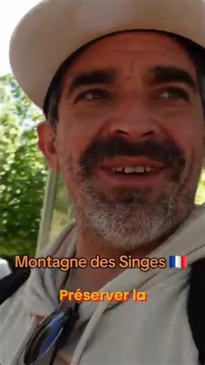 Alsace 🇫🇷 Practical information before visiting Monkey Mountain #alsace #travelvlog