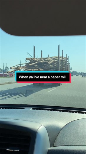 Death Scenes in Final Destination and Logging Trucks