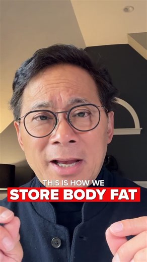 The Angiogenesis Foundation on Instagram: "🩸 Your blood vessels aren’t just highways for circulation. They shape how entire systems in your body form and function. Every nerve is supported by its own network of blood vessels, because nerves need steady blood flow to work properly. And here’s something most people don’t know: 🧁 Body fat forms after your blood vessels, wrapping around them like bubble wrap. Why? Because fat cells (adipocytes) are your body’s fuel tanks. When you eat, nutrients e