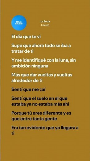 La Boda - Camilo (Lyrics)