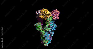 SARS-CoV-2 Omicron mutant spike protein bound to human ACE2 receptor, 4K