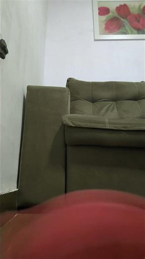 15 de janeiro de 2026