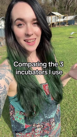 I get questions daily about the different incubators I use. The @Hatching Time cabinet incubator is hands-down my favorite now, but I definitely still use my tabletop incubators and I wanted to compare the two table tops that I have. I'm not sure if I could say I have a favorite because I've had two cords go out on my maticoopx but I also did have that one turn that was a little rough on the chick cozy. And they both go all over the place with the humidity where I'm at in Texas. I'm constantly h