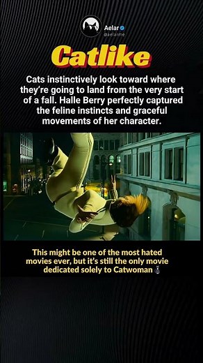 Catwoman (2004), Halle Berry leaps out of a window.