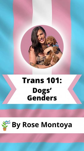 Having a dog makes me wish that people would treat me and other trans people more like they treat my dog. Everyone asks for Hera’s gender/name/pronouns. No one actually cares about her genitals. But when it comes to me and other humans, people care so much about our body parts but rarely ask for our genders/ pronouns. In order of impact, you can support my work by: - Subscribe to my Patreon - Shop my Merch Shop - Tip me on Venmo (rosalynnemontoya) or Cashapp ($rosalynnemontoya) - Turn on notific