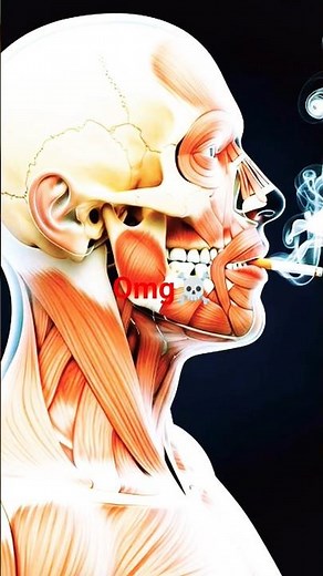 ADVERTENCIA: ¡Lo que el humo del cigarrillo hace dentro de ti te sorprenderá! 😈 | Cuerpo humano 3D