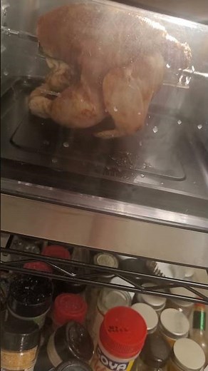 First time trying out my Gourmia Air Fryer Rotisserie Chicken Style 🐔 😋
