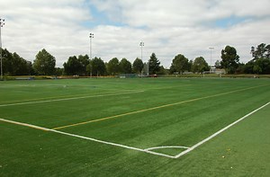 Petaluma Urban Chat: Reflections on Being a Nincompoop