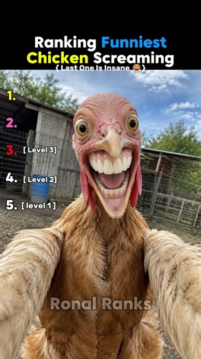 Ranking Funniest chicken screaming 😂☠️
