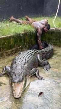 "Meet the giant of the waters - Crocodile! 🐊 Truly a living dinosaur from 200 million years ago. 🔥"