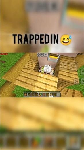 #dublagem #auracat #mrbeastgaming #minecraftshorts