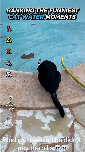 Ranking the Funniest Cat Water Moments 🐱🌊😭