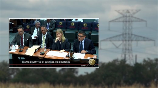 'We have to fight' | Hundreds turn out at Texas State Capitol to oppose 765 kV transmission line