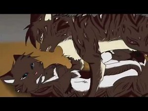 [Warriors MAP ] ╔►Think Twice ◄╗