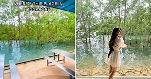 Quaint little mangrove spot at Keppel Club will be gone in second half of 2022