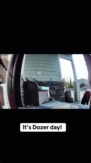 Dozer Day Adventures: Cuddles and Naps