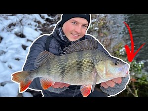 THIS is how you can now easily catch big winter bass!