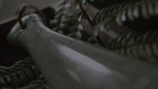 30 years on from the signing of the Raupatu settlement, we have an opportunity to remember the legacy of our past, to honour those who have contributed, and to share the lived experience and insights of those who were there and are still here. This is a time for us to reflect, reconnect, and pass forward a sense of hope and vision for our mokopuna🍃 | Waikato Tainui