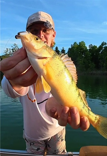Ned Rig Worm Fishing: How to Catch Bigger Fish with This Bait