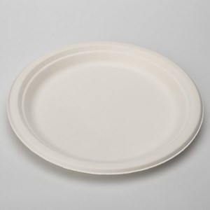 [Hot Item] Biodegradable Compostable Degradable Tableware Dinner Sets Disposable Bassage Paper