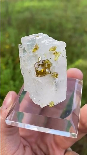 Golden Spharelite on Calcite #geology #minerals #crystals #shorts #engineering