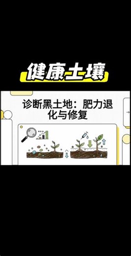 诊断黑土地：肥力退化与修复#土壤科普 #土壤调理方案 #土壤变革 #土壤化学改良 #如何改良土壤结构