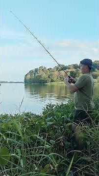 tempatnya indah #fishing #mamcingliar #mancing #mancingmantap #fish