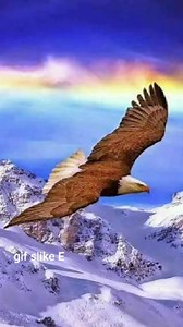 8.9K views · 735 reactions | GIF Slike - E on Reels | Facebook