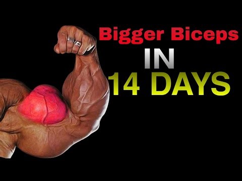 Bigger Biceps in 14 Days 💪 | 7 Mini Biceps Workouts
