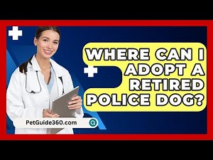 Where Can I Adopt A Retired Police Dog? - PetGuide360.com