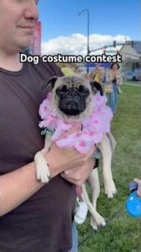 ￼Come With Us to a Canine Carnival! 🐾