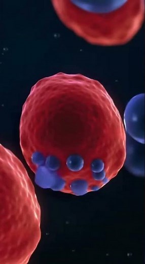 Can Plums Help Fight Cancer? The Science Behind Polyphenols