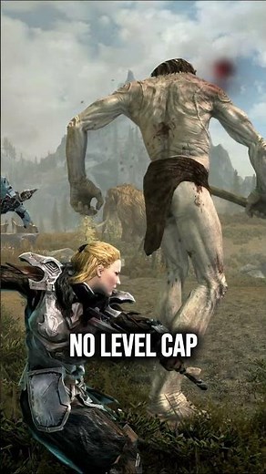 Skyrim's Best Follower