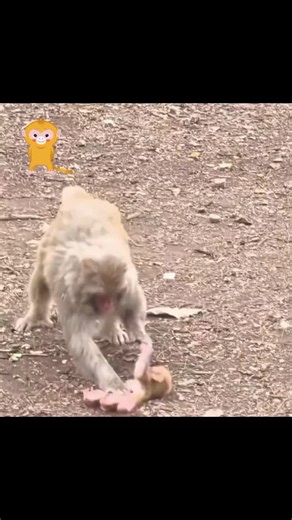 "Terkadang, keluarga tidak ditentukan oleh darah atau jenis, melainkan...